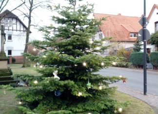 Gemeindeweihnachtsbaum