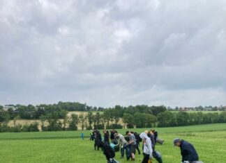 Aufräumarbeiten nach dem Tornadoeinsatz/Dank an die Helfer