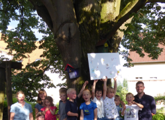 Eine neue Baumbank für die Kita