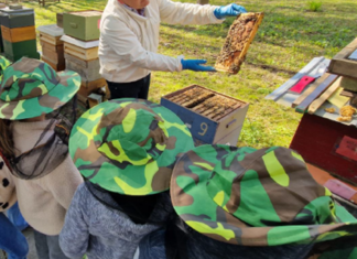 Projektwoche der Grundschule